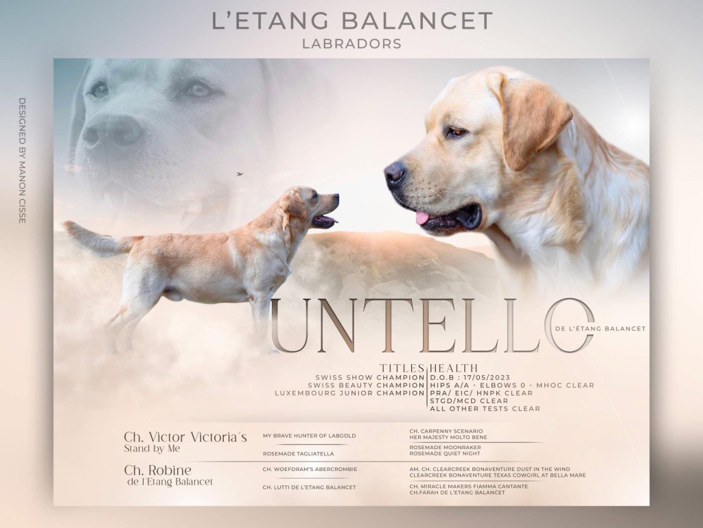 CH. Untello De L'Etang Balancet
